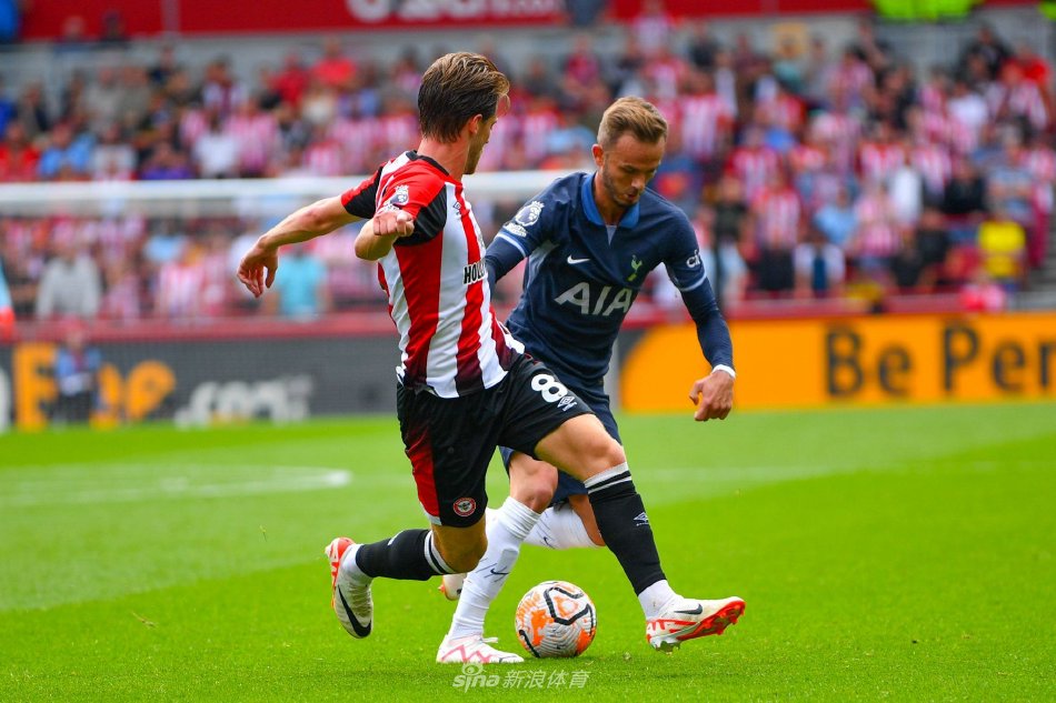 真实的球迷 真实的球迷